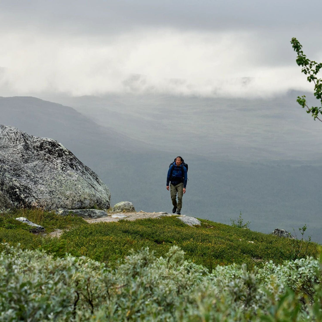 Abisko Hybrid Trail Trousers M Short