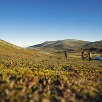 Vidda Pro Ventilated Trousers M Regular